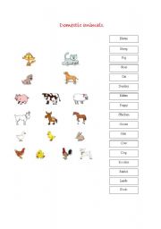 English worksheet: Farm, wild and sea animals,pets and insects exercises