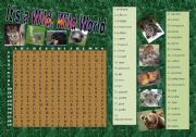 English Worksheet: Animals Wordsearch