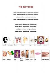 English worksheet: THE BODY SONG