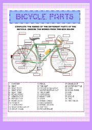 English Worksheet: BICYCLE PARTS -vocabulary exercise