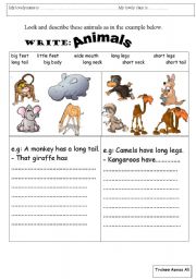 English Worksheet: Has and Have