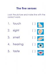 English Worksheet: The five senses