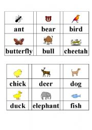 English Worksheet: picture dictionary