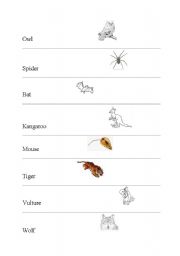 English worksheet: animals by miki 3