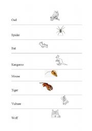 English Worksheet: animals by miki 3