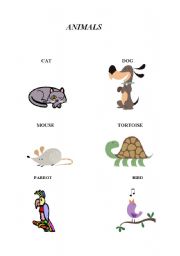 English worksheet: ANIMALS