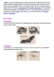 English worksheet: Cave Critters