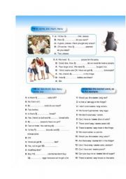 English Worksheet: much many - some any