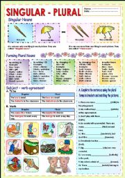 English Worksheet: Singular and plural of nouns