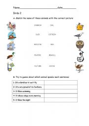 English worksheet: Birds 2