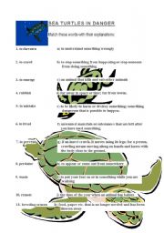 English worksheet: Sea turtles in danger