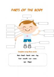 English Worksheet: parts of the body