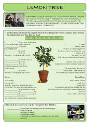 English Worksheet: Lemon tree