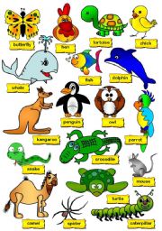 English Worksheet: Animal Pictionary (2/2)