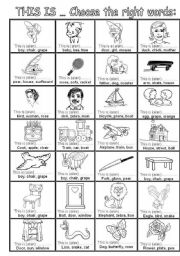 English Worksheet: This is ... choose the right  words