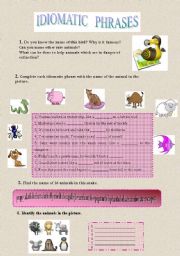 English Worksheet: ANIMAL IDIOMS