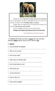 English worksheet: Reading Comp 