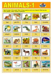 English Worksheet: ANIMALS