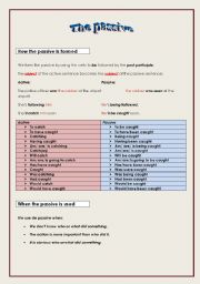 English Worksheet: Passive Voice