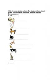 English worksheet: Animals