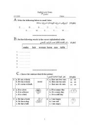 English worksheet: level exam 