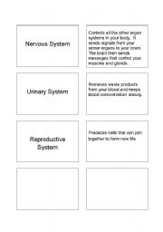 English worksheet: Organ System Card Sort