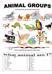 Animal groups