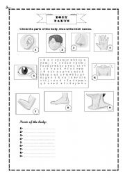 English Worksheet: Body Parts