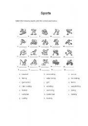 English Worksheet: Sports Vocabulary