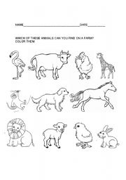 English Worksheet: Farm animals