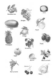 English Worksheet: fruit,berry