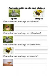 English worksheet: Animals with spots and stripes