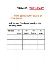 English worksheet: Organs the heart