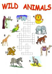 English Worksheet: Wild animals