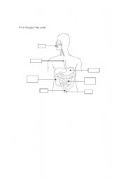 English Worksheet: Digestive system