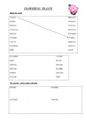 English Worksheet: plants and fruits