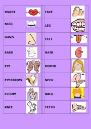 English Worksheet: BODY DOMINO