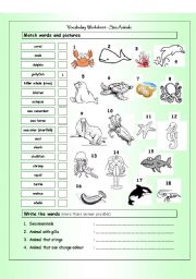 Vocabulary Matching Worksheet - SEA ANIMALS