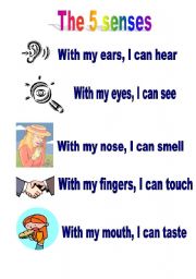 English Worksheet: THE 5 SENSES 