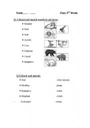 English worksheet: animal