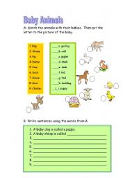 English worksheet: Baby Animals