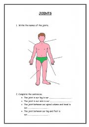 English worksheet: JOINTS