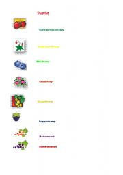 English Worksheet: Berries