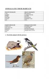 English worksheet: ANIMALS AND THEIR HABITATS