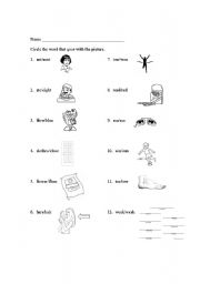 English worksheet: Homonyms with pictures