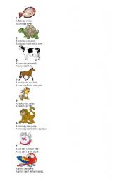 English worksheet: animals