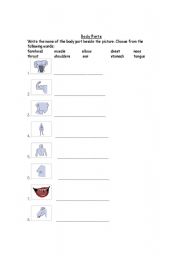 English Worksheet: Name the Body Part