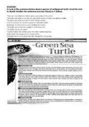 English Worksheet: Integrated Skills Worksheet