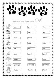 English Worksheet: Pets - Encircle the right word