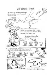 English Worksheet: our senses - smell